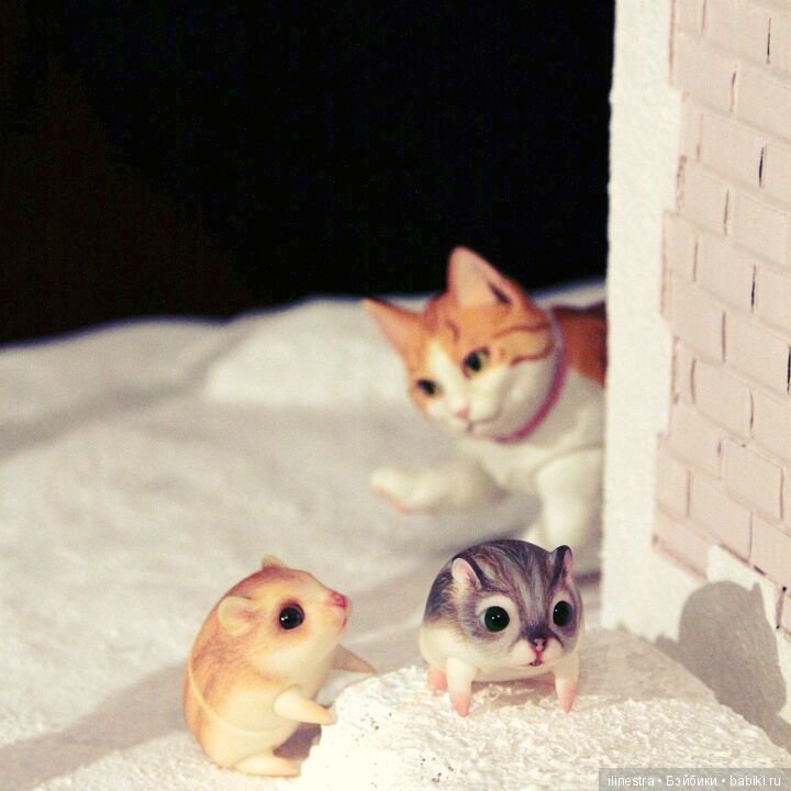 Хомки: знакомство с Мао — Фотоистории с куклами BJD (БЖД): сериалы