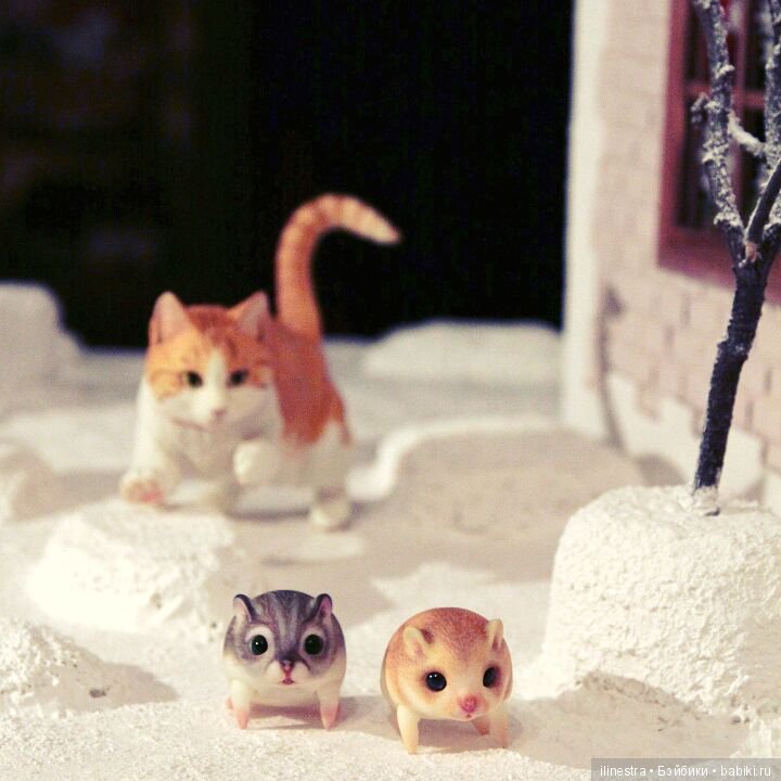 Хомки: знакомство с Мао — Фотоистории с куклами BJD (БЖД): сериалы (фото 2)