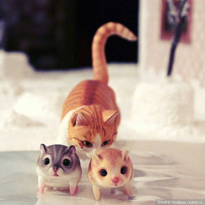 Хомки: знакомство с Мао — Фотоистории с куклами BJD (БЖД): сериалы (фото 4)