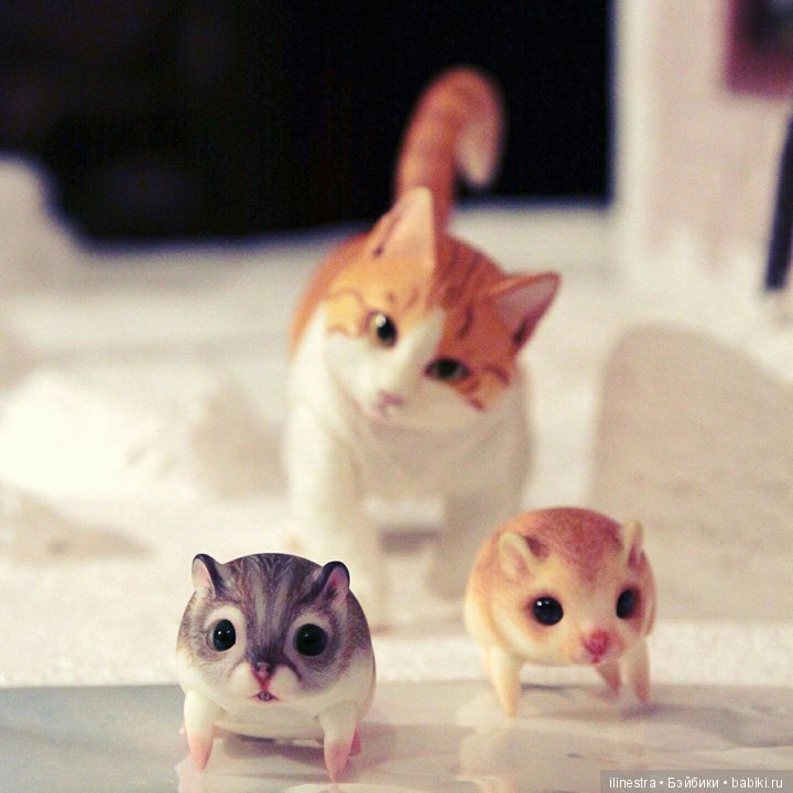 Хомки: знакомство с Мао — Фотоистории с куклами BJD (БЖД): сериалы (фото 3)