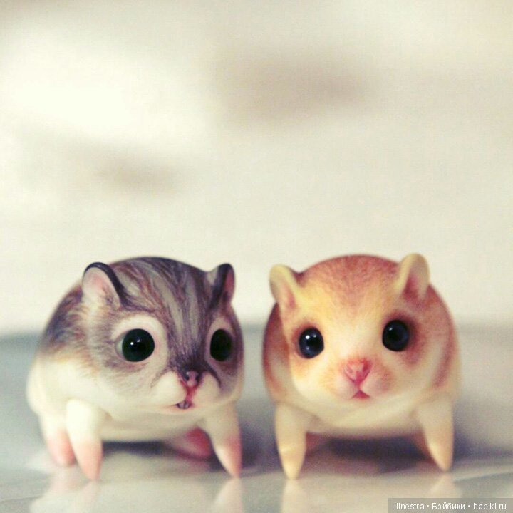 Хомки: знакомство с Мао — Фотоистории с куклами BJD (БЖД): сериалы (фото 8)