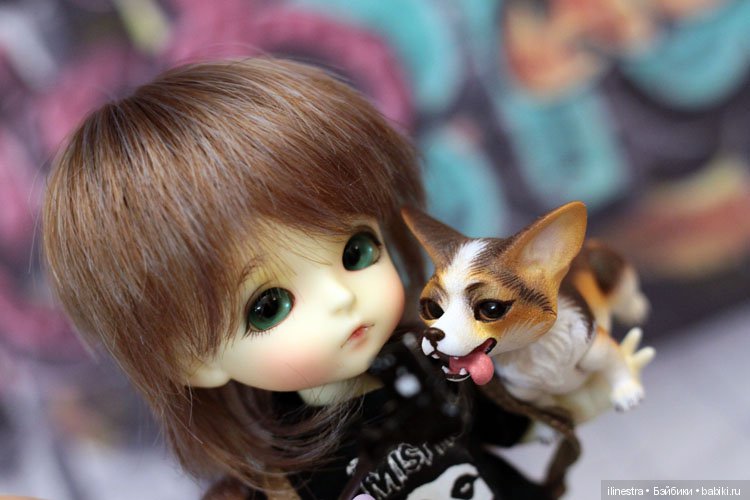 Друзья | Бэйбики Друзья — Куклы Latidoll (Лати): BJD (БЖД)