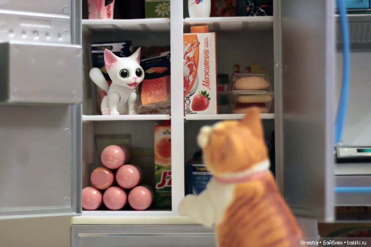 Ночной налёт на холодильник (фото 7)