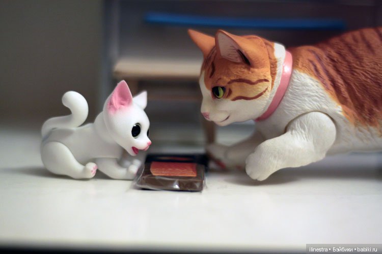 Ночной налёт на холодильник