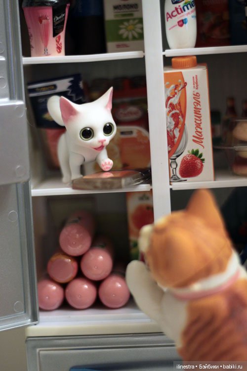 Ночной налёт на холодильник (фото 8)