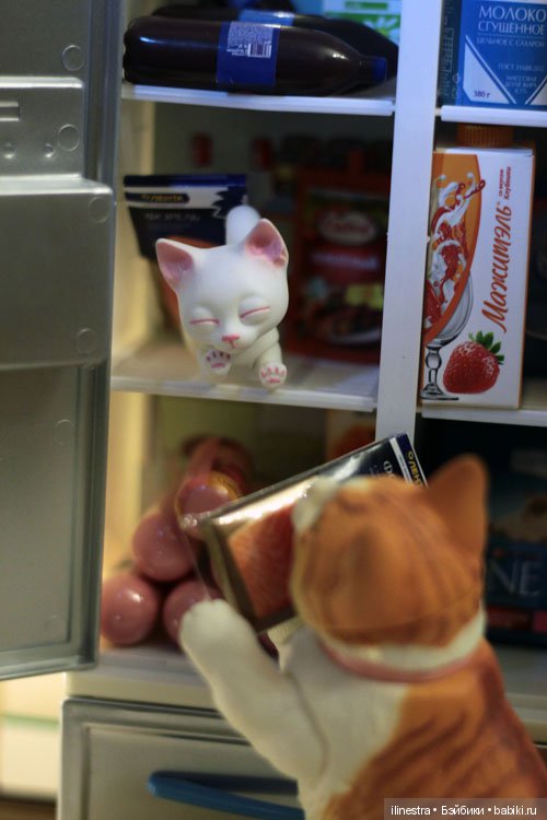 Ночной налёт на холодильник (фото 9)