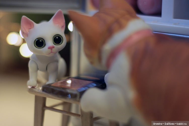 Ночной налёт на холодильник