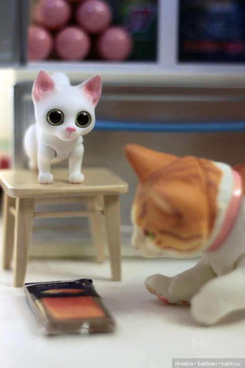 Ночной налёт на холодильник