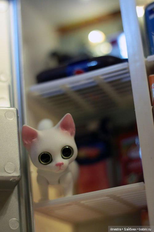 Ночной налёт на холодильник