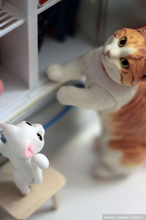 Ночной налёт на холодильник (фото 4)