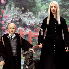 Драко приехал домой на каникулы