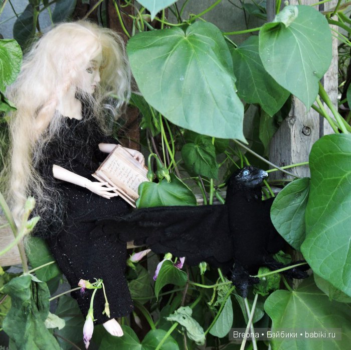 Новый питомец Шейлы — Домашние фото авторских игрушек: Тедди (фото 2)