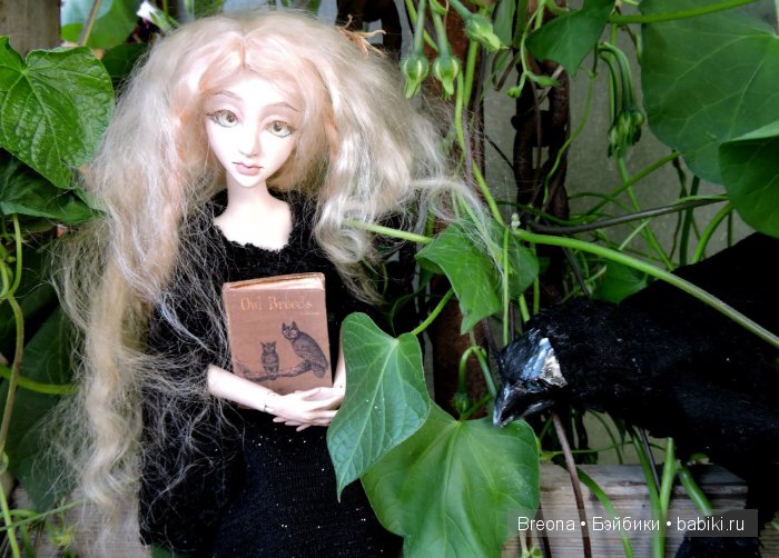 ворона и шейла