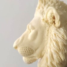 Как я льва красила