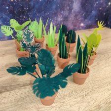 Комнатные растения