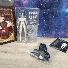 Сицилийский пес бордер фулсет