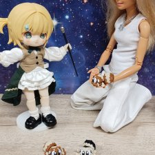 Микрозвери: пауки, паук скакунчик