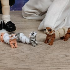 Микрозвери: хорьки