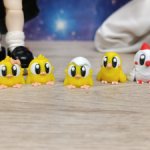 Микрозвери: птички