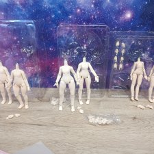 BJD шарнирные тела блайндбоксов