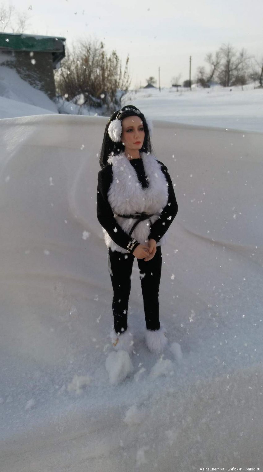 Воспоминания о зиме — Куклы Phicen (TBLeague/Фицен): бесшовные тела (фото 2)