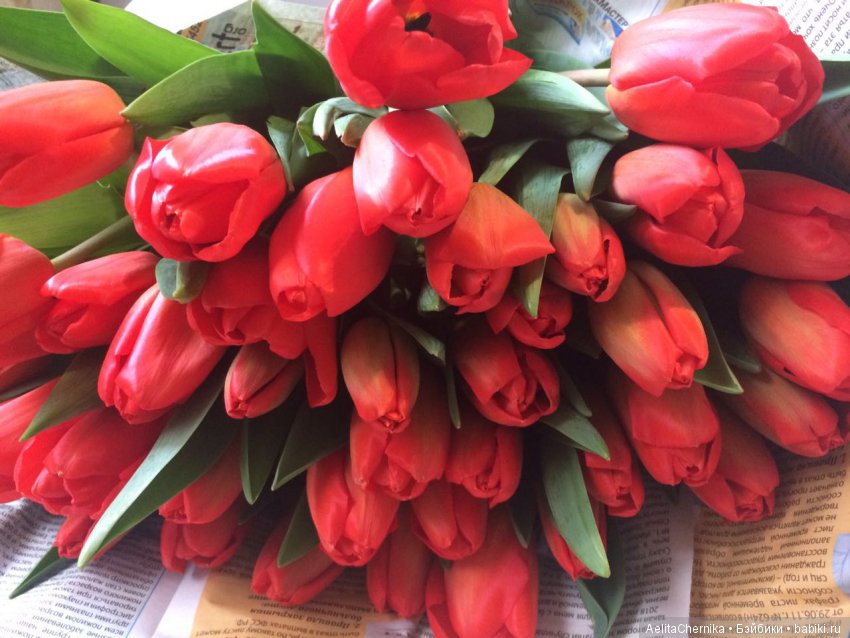 Франко поздравляет с 8 Марта! Phicen