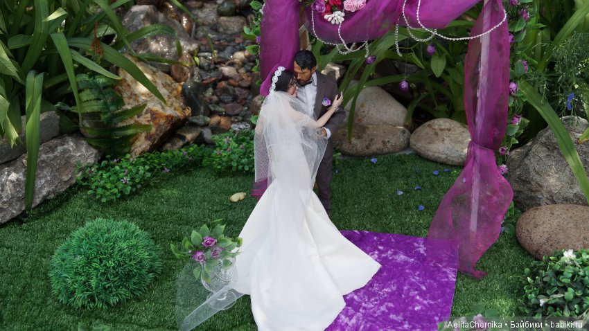 Душа моя 2. Свадьба — Кукольные фотоистории и сериалы: комиксы