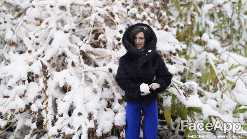 Снежки — Куклы Phicen (TBLeague/Фицен): бесшовные тела (фото 7)