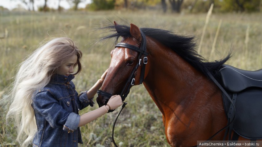 Конь по имени Вулкан — Коллекционные экшн (фото 6)