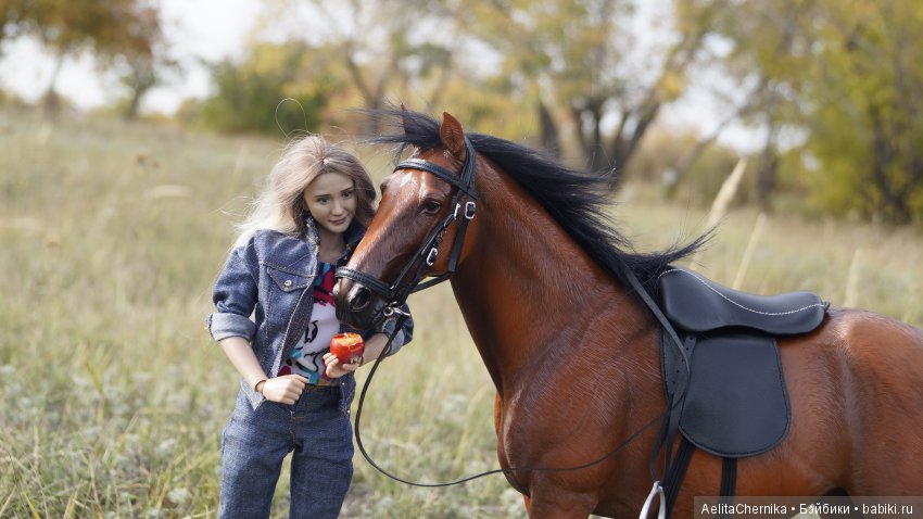 Конь по имени Вулкан — Коллекционные экшн (фото 4)