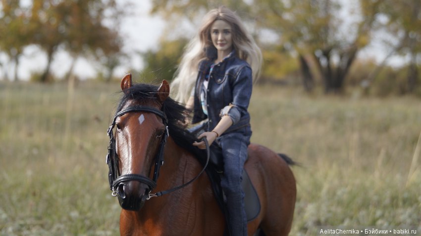 Конь по имени Вулкан — Коллекционные экшн (фото 9)