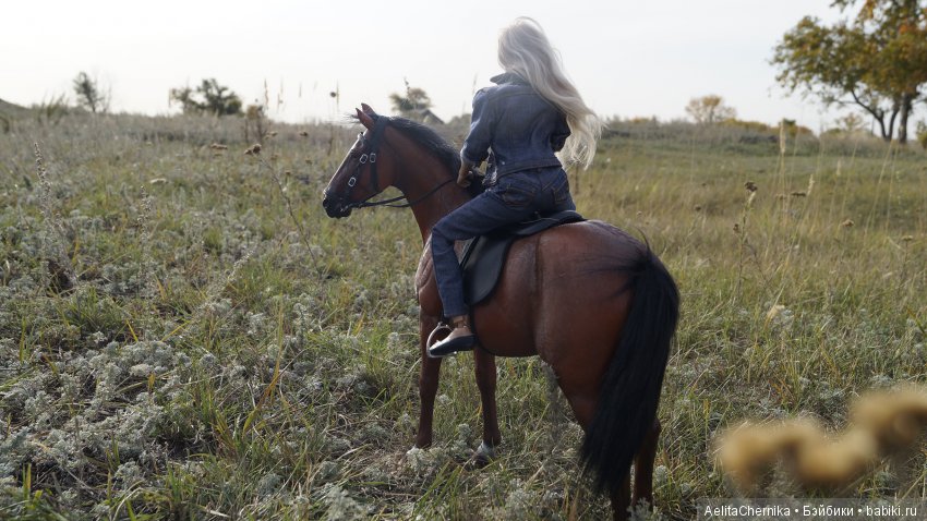 Конь по имени Вулкан — Коллекционные экшн