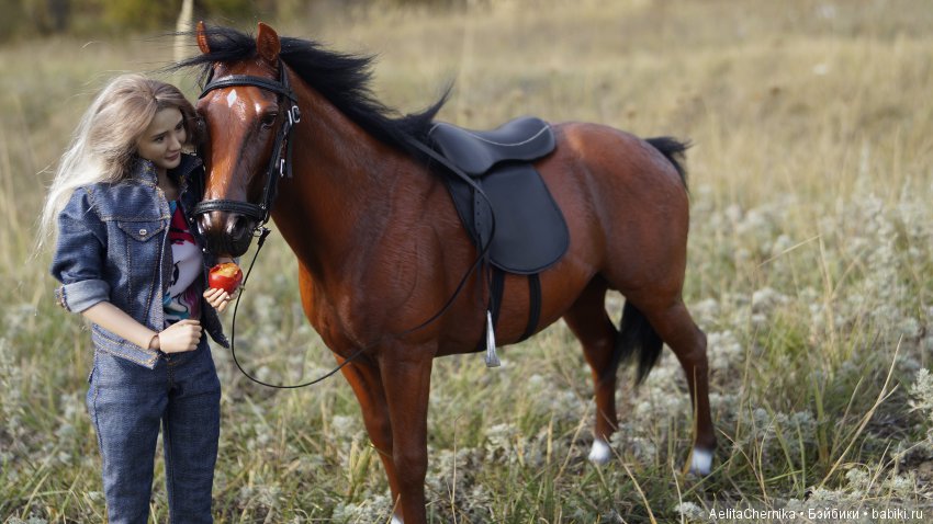 Конь по имени Вулкан — Коллекционные экшн (фото 5)