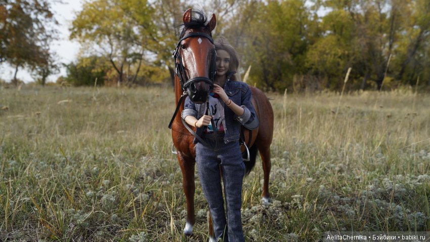 Конь по имени Вулкан — Коллекционные экшн (фото 7)