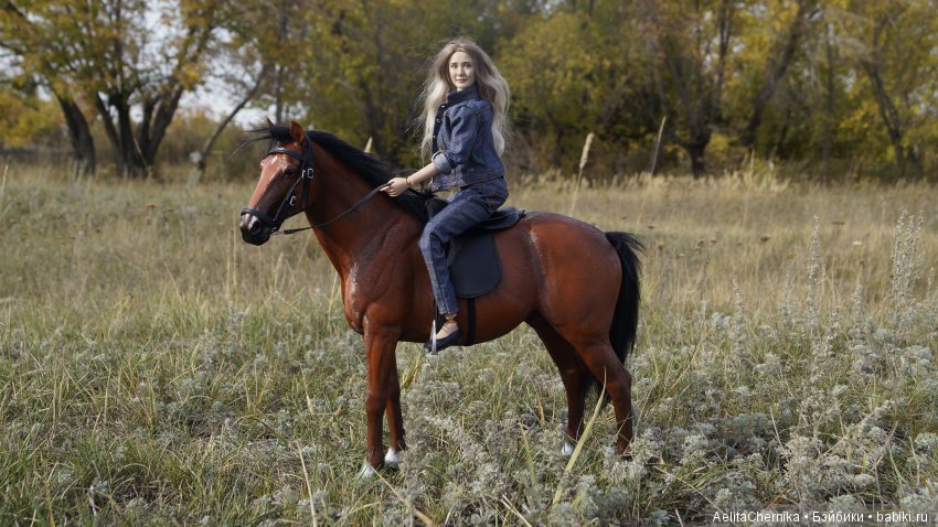 Конь по имени Вулкан — Коллекционные экшн (фото 8)