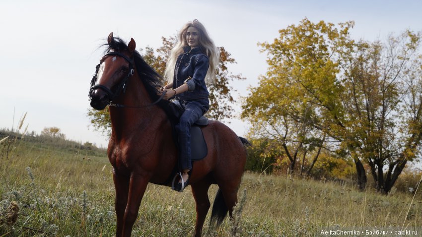 Конь по имени Вулкан — Коллекционные экшн (фото 10)