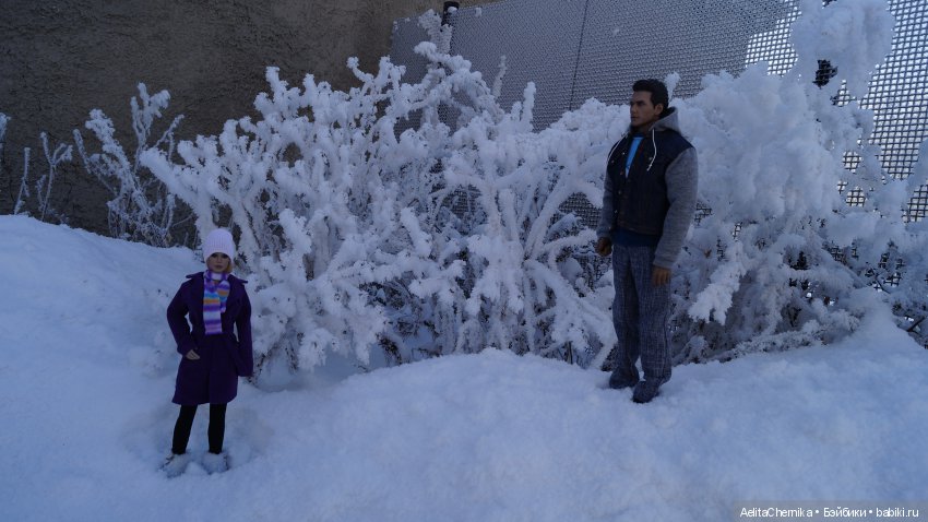 Франко и Викки. Новый герой (фото 5)