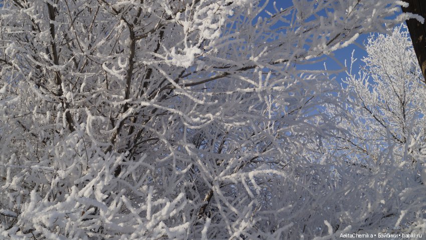 Франко и Викки. Новый герой