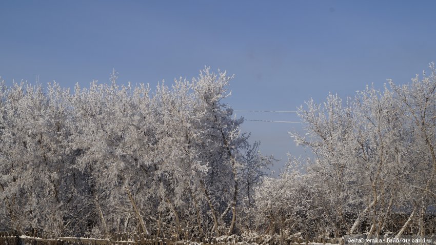 Франко и Викки. Новый герой