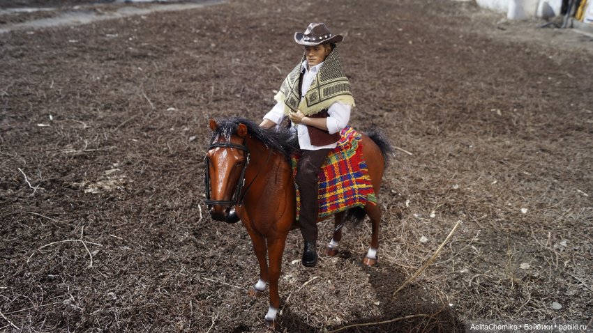 Шериф — Куклы Phicen (TBLeague/Фицен): бесшовные тела (фото 2)