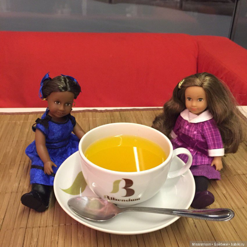 Обзор прогулок американочек, мини Americangirl, за год (фото 2)