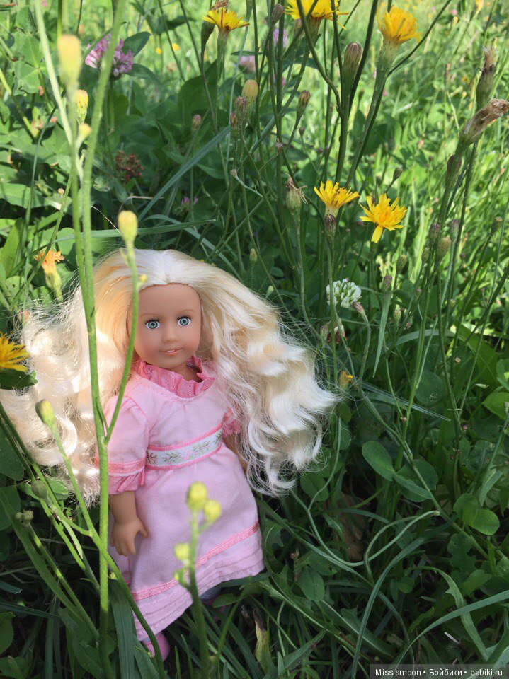 Обзор прогулок американочек, мини Americangirl, за год