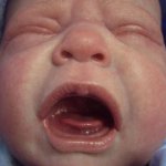 Помогите найти похожие молды!