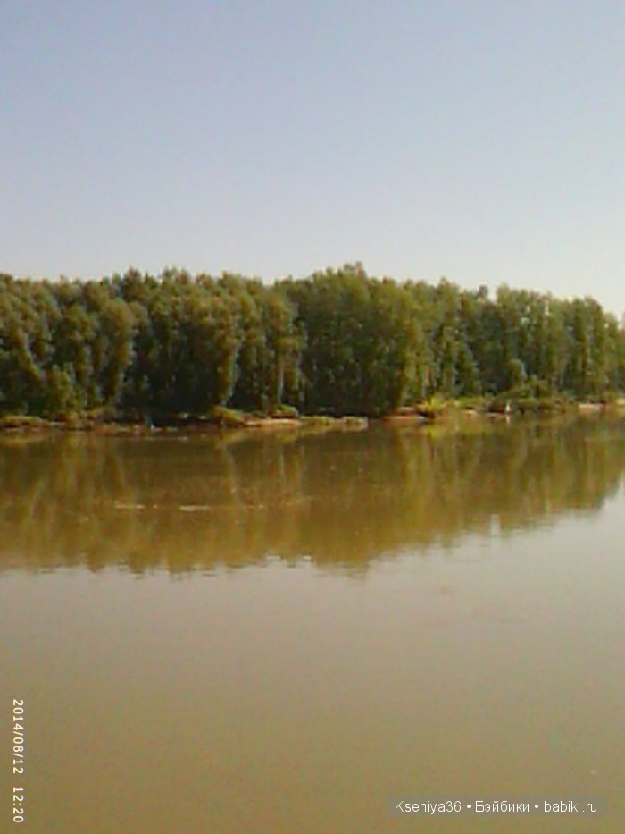 Лето,ах,лето — Болталка и разговоры обо всем: жизнь (фото 6)