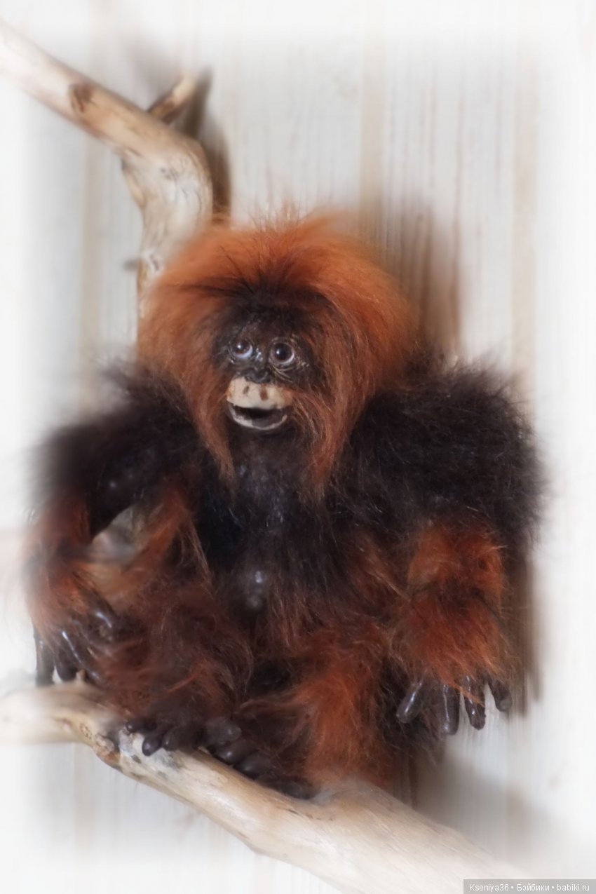 Наш с мужем первый опыт работы с силиконом - Обезьянка (фото 9)