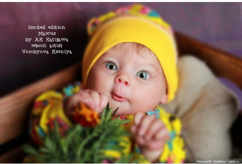 Часть седьмая. Мой самый любимый удивляшка МАРКУС