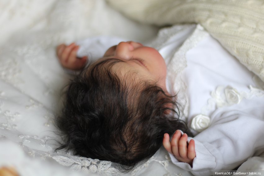 Лушечка - кнопочка, маленькая лохматушечка (фото 7)