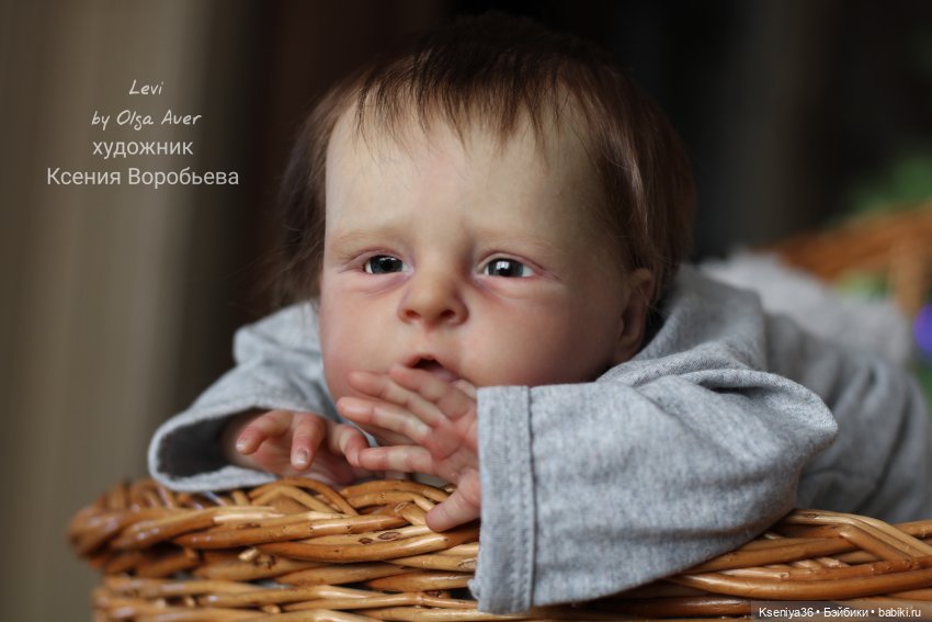 Levi, Лёва - чудесный малыш (фото 4)