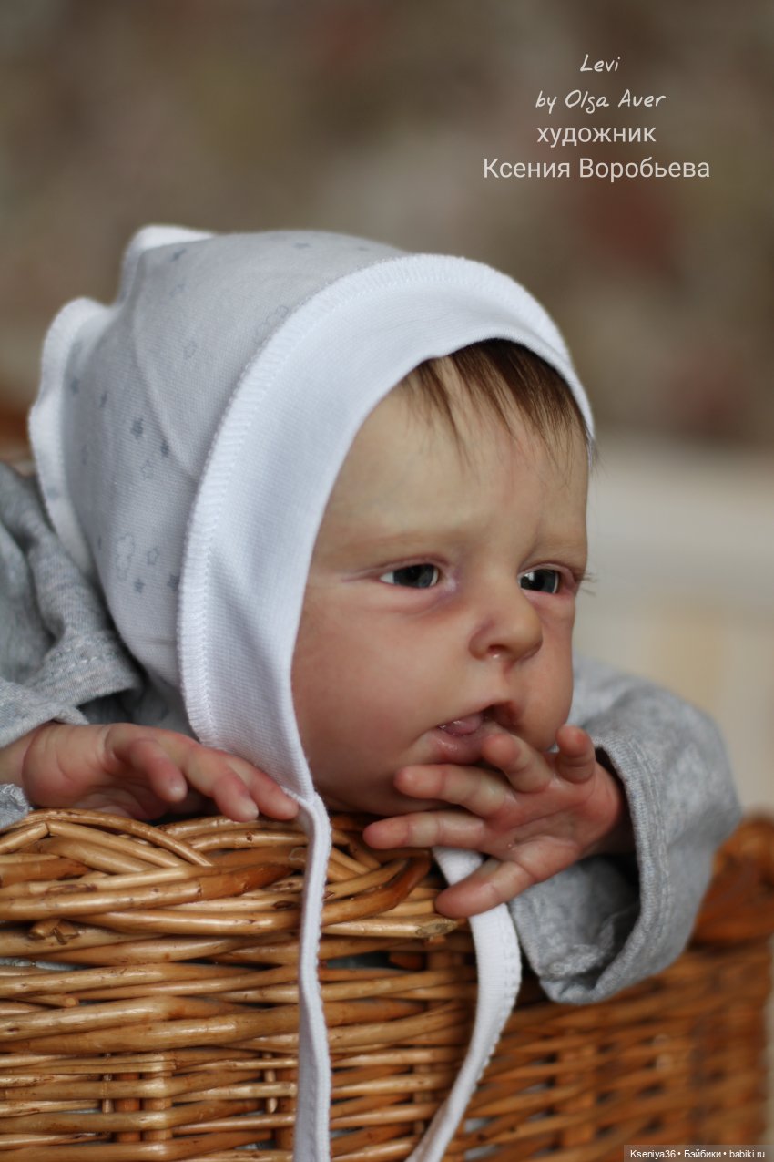 Levi, Лёва - чудесный малыш (фото 6)