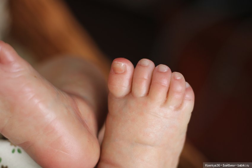 Лапочка Эрика в теплых уютных тонах (фото 5)